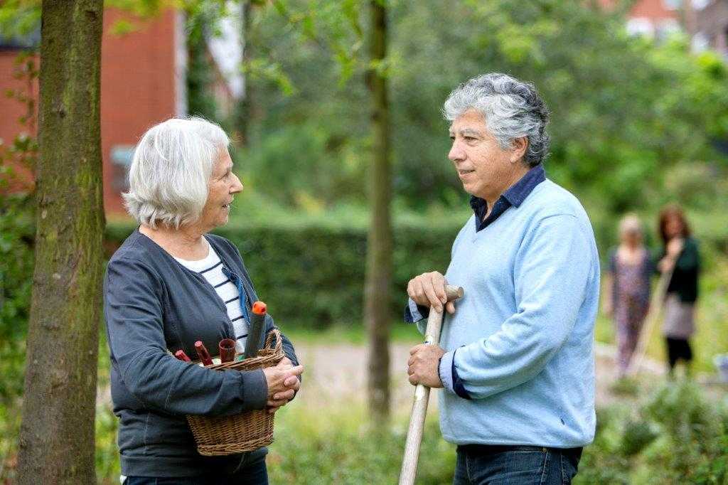 Meldpunt Eenzaamheid, WijZ welzijn Raalte